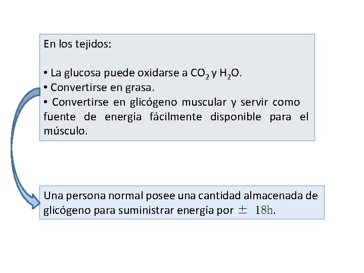 En los tejidos: • La glucosa puede oxidarse a CO 2 y H 2