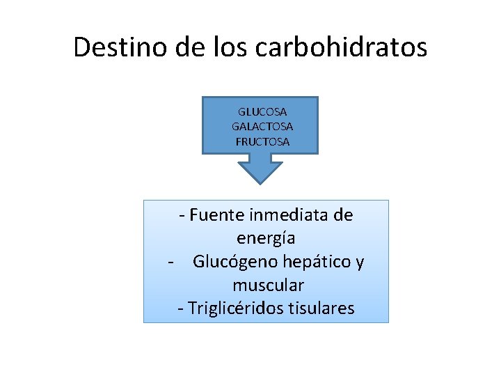 Destino de los carbohidratos GLUCOSA GALACTOSA FRUCTOSA - Fuente inmediata de energía - Glucógeno