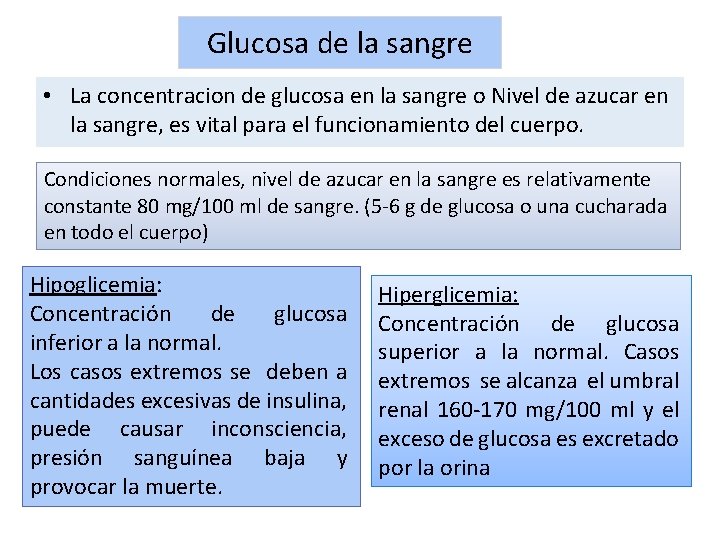 Glucosa de la sangre • La concentracion de glucosa en la sangre o Nivel