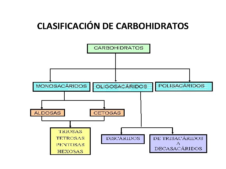 CLASIFICACIÓN DE CARBOHIDRATOS 
