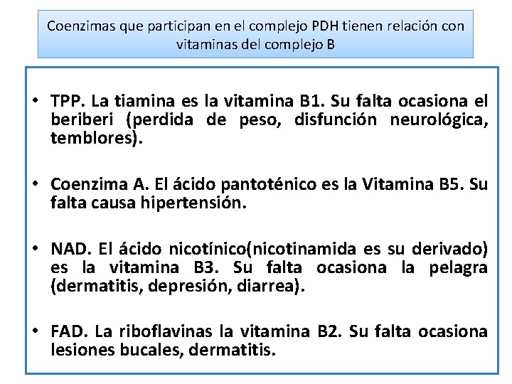 Coenzimas que participan en el complejo PDH tienen relación con vitaminas del complejo B