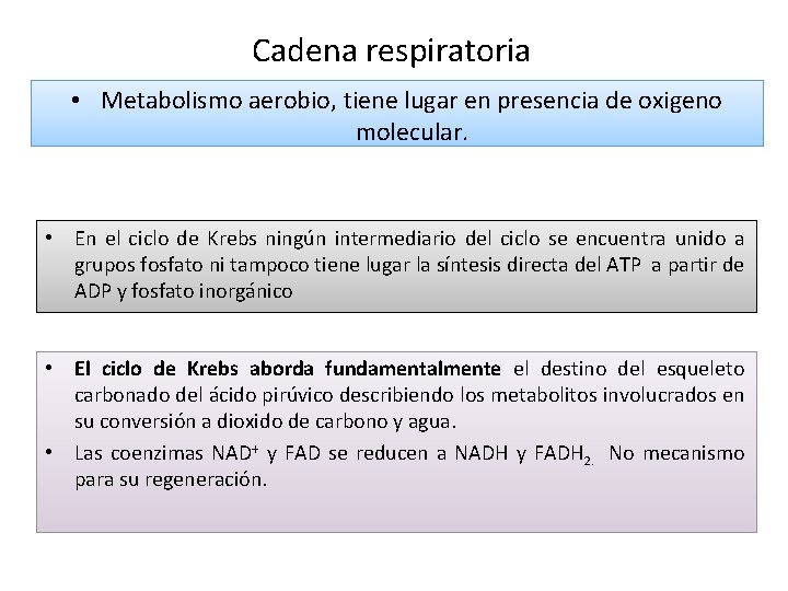 Cadena respiratoria • Metabolismo aerobio, tiene lugar en presencia de oxigeno molecular. • En