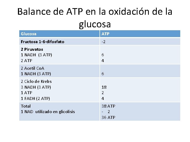 Balance de ATP en la oxidación de la glucosa Glucosa ATP Fructosa 1 -6