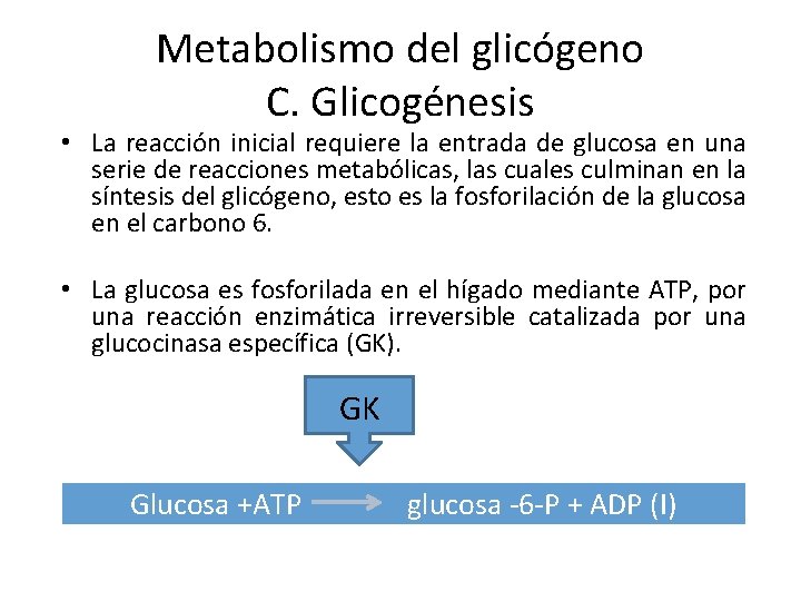 Metabolismo del glicógeno C. Glicogénesis • La reacción inicial requiere la entrada de glucosa