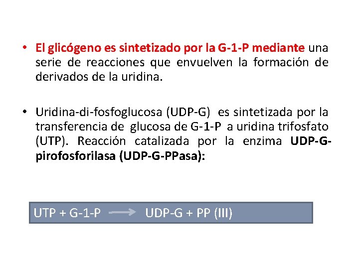  • El glicógeno es sintetizado por la G-1 -P mediante una serie de
