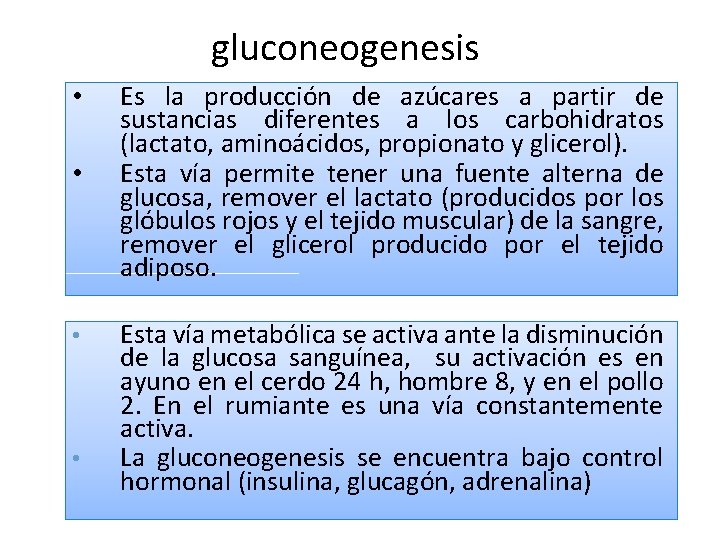 gluconeogenesis • • Es la producción de azúcares a partir de sustancias diferentes a