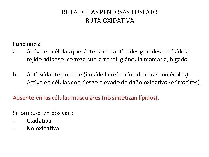 RUTA DE LAS PENTOSAS FOSFATO RUTA OXIDATIVA Funciones: a. Activa en células que sintetizan