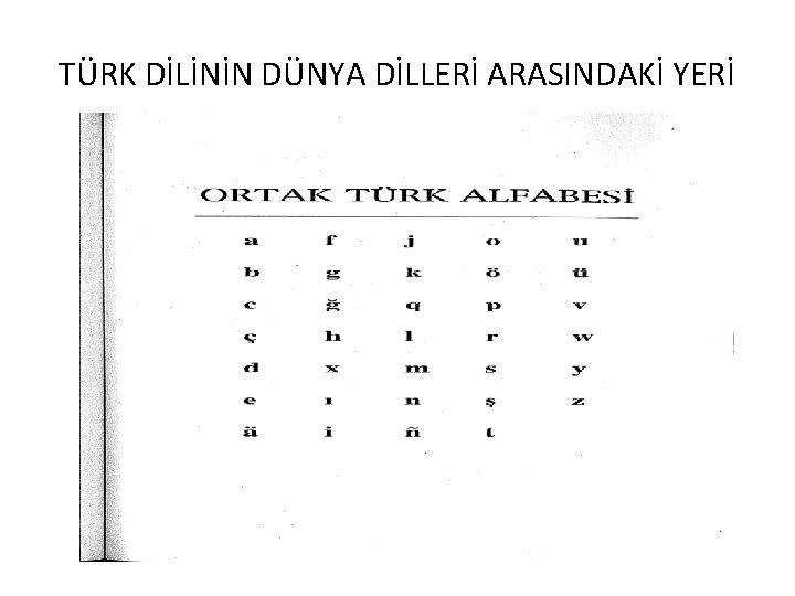 TÜRK DİLİNİN DÜNYA DİLLERİ ARASINDAKİ YERİ 