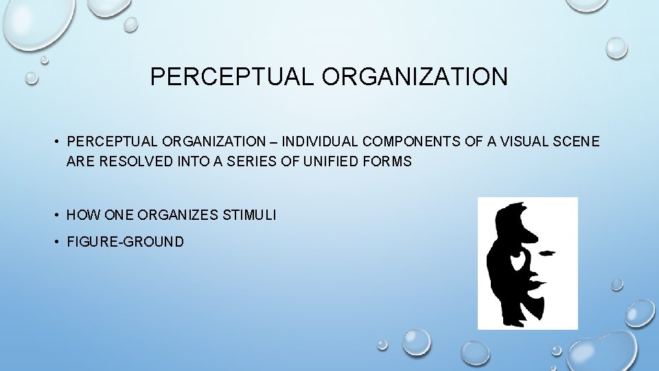 PERCEPTUAL ORGANIZATION • PERCEPTUAL ORGANIZATION – INDIVIDUAL COMPONENTS OF A VISUAL SCENE ARE RESOLVED PERCEPTUAL ORGANIZATION • PERCEPTUAL ORGANIZATION – INDIVIDUAL COMPONENTS OF A VISUAL SCENE ARE RESOLVED