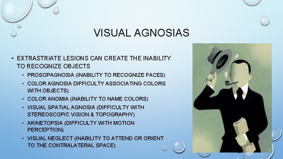 VISUAL AGNOSIAS • EXTRASTRIATE LESIONS CAN CREATE THE INABILITY TO RECOGNIZE OBJECTS • PROSOPAGNOSIA VISUAL AGNOSIAS • EXTRASTRIATE LESIONS CAN CREATE THE INABILITY TO RECOGNIZE OBJECTS • PROSOPAGNOSIA