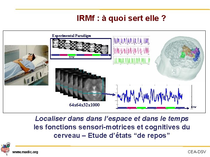 IRMf : à quoi sert elle ? Experimental Paradigm time 64 x 32 x