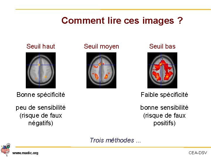 Comment lire ces images ? Seuil haut t > 5. 5 Seuil moyen Seuil