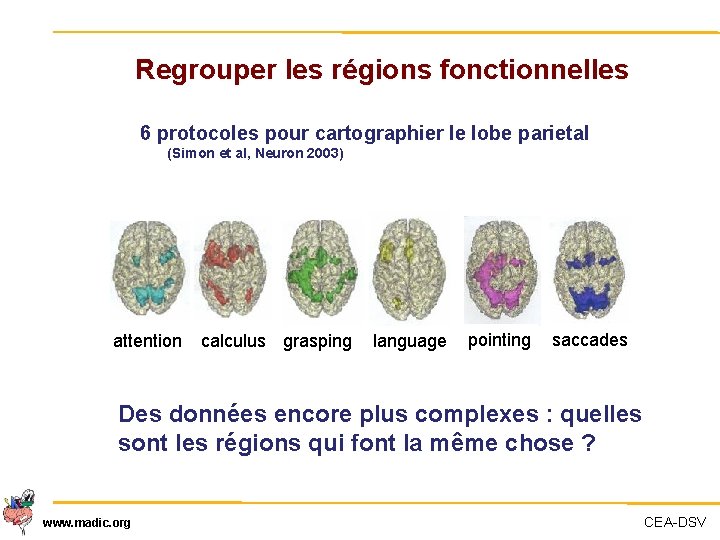 Regrouper les régions fonctionnelles 6 protocoles pour cartographier le lobe parietal (Simon et al,