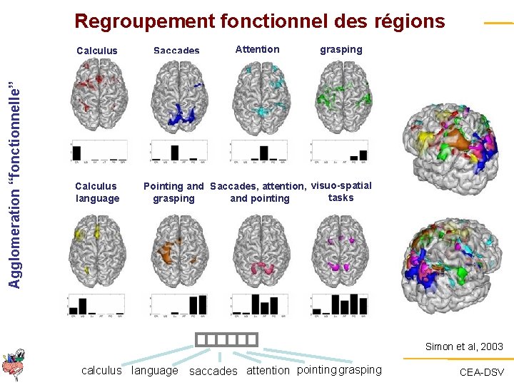 Regroupement fonctionnel des régions Agglomeration “fonctionnelle” Calculus language Saccades Attention grasping Pointing and Saccades,