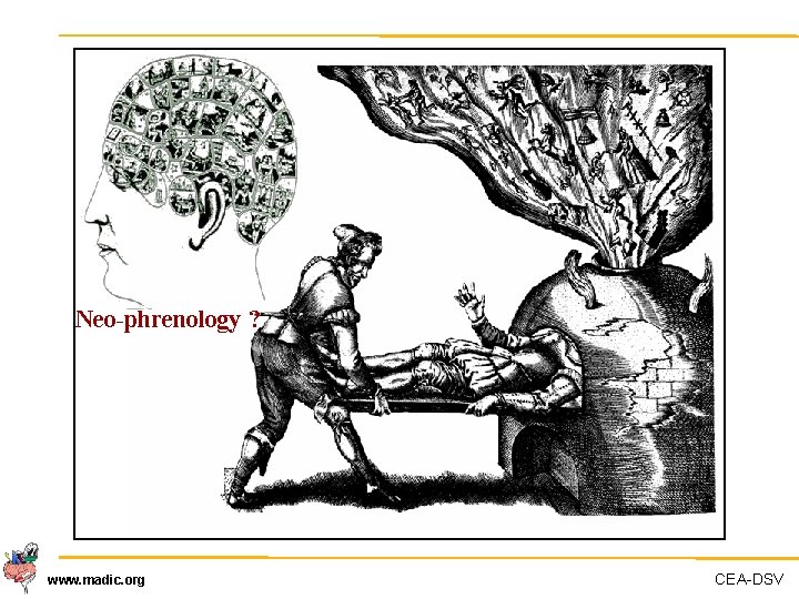 Neo-phrenology ? www. madic. org CEA-DSV 