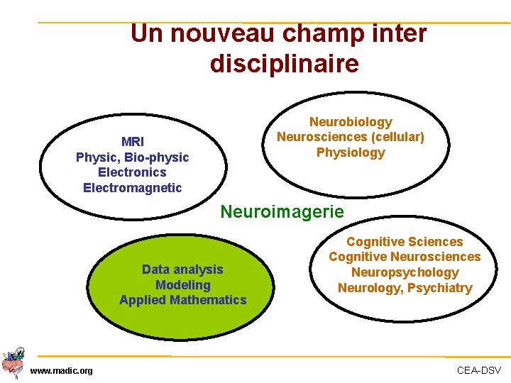 Un nouveau champ inter disciplinaire Neurobiology Neurosciences (cellular) Physiology MRI Physic, Bio-physic Electronics Electromagnetic