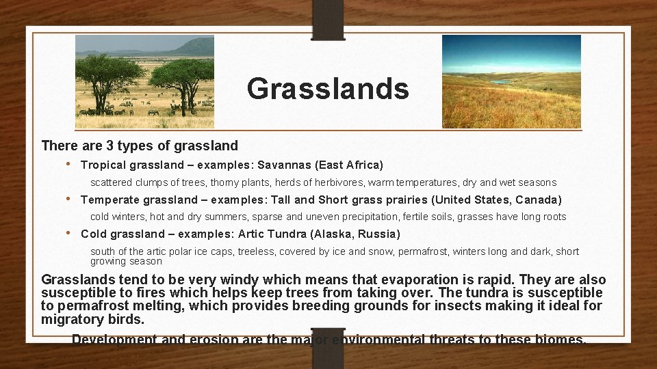 Grasslands There are 3 types of grassland • Tropical grassland – examples: Savannas (East