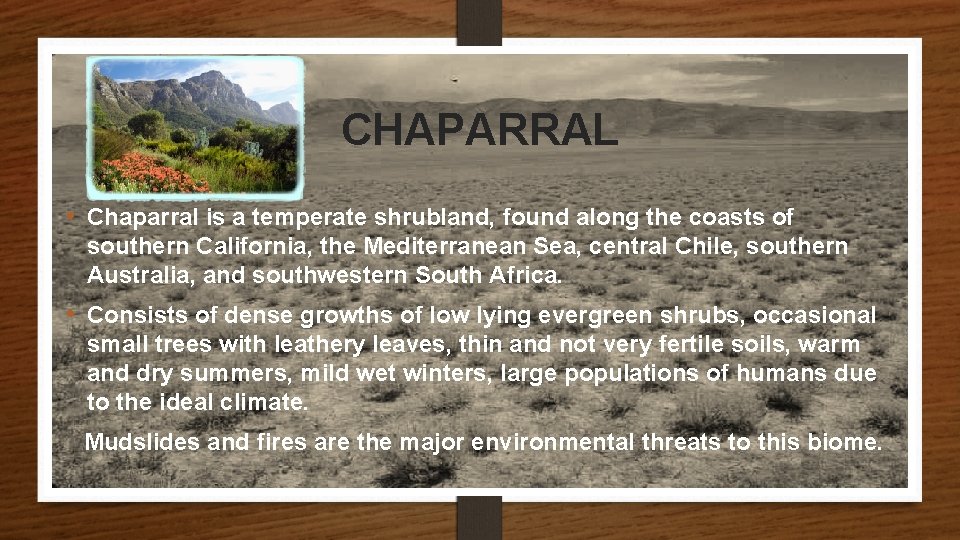 CHAPARRAL • Chaparral is a temperate shrubland, found along the coasts of southern California,