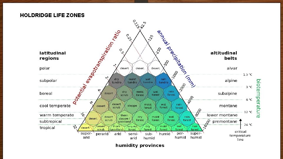 HOLDRIDGE LIFE ZONES Biome Graphs 
