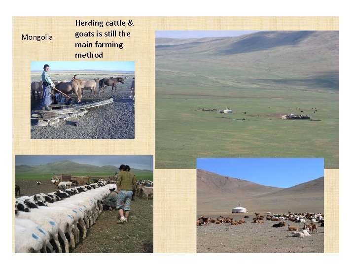 Herding cattle & goats is still the main farming method 