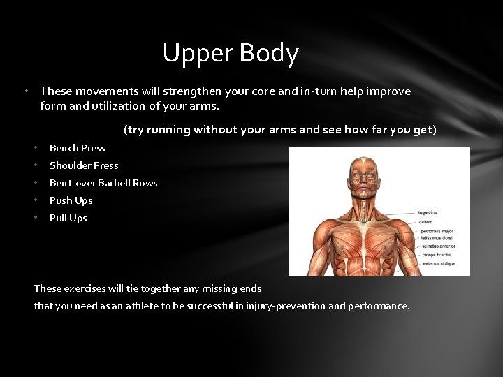 Upper Body • These movements will strengthen your core and in-turn help improve form