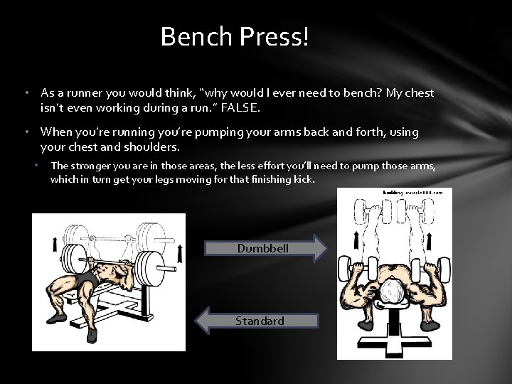 Bench Press! • As a runner you would think, “why would I ever need