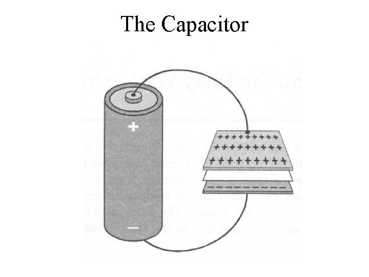 The Capacitor 