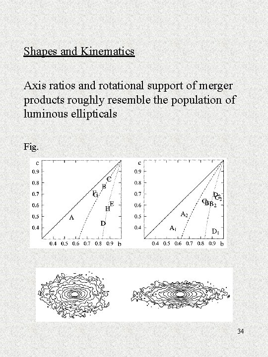 Shapes and Kinematics Axis ratios and rotational support of merger products roughly resemble the