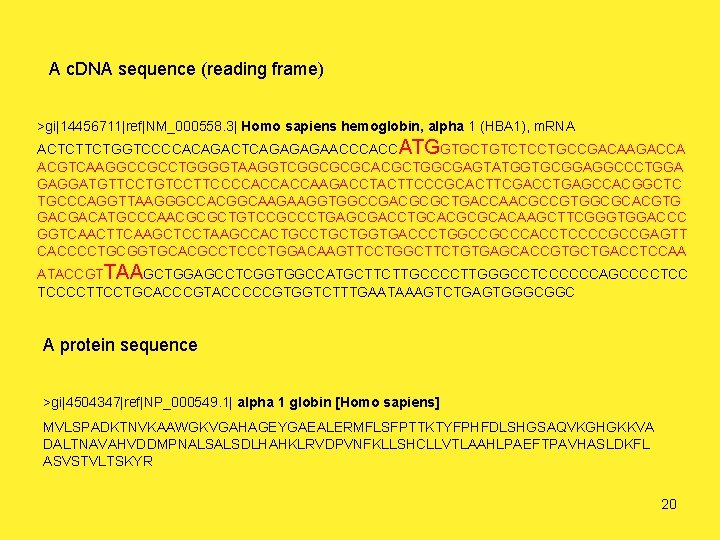 A c. DNA sequence (reading frame) >gi|14456711|ref|NM_000558. 3| Homo sapiens hemoglobin, alpha 1 (HBA