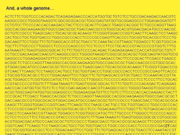 And, a whole genome… ACTCTTCTGGTCCCCACAGACTCAGAGAGAACCCACCATGGTGCTGTCTCCTGCCGACAAGACCAACGTC AAGGCCGCCTGGGGTAAGGTCGGCGCGCACGCTGGCGAGTATGGTGCGGAGGCCCTGGAGAGGATGTT CCTGTCCTTCCCCACCACCAAGACCTACTTCCCGCACTTCGACCTGAGCCACGGCTCTGCCCAGGTTAAG GGCCACGGCAAGAAGGTGGCCGACGCGCTGACCAACGCCGTGGCGCACGTGGACGACATGCCCAACGC GCTGTCCGCCCTGAGCGACCTGCACGCGCACAAGCTTCGGGTGGACCCGGTCAACTTCAAGCTCCTAAGC CACTGCTGGTGACCCTGGCCGCCCACCTCCCCGCCGAGTTCACCCCTGCGGTGCACGCCTCCCTG GACAAGTTCCTGGCTTCTGTGAGCACCGTGCTGACCTCCAAATACCGTTAAGCTGGAGCCTCGGTGGCCA TGCTTCTTGCCCCTTGGGCCTCCCCCCAGCCCCTCCTCCCCTTCCTGCACCCGTACCCCCGTGGTCTTTG AATAAAGTCTGAGTGGGCGGCACTCTTCTGGTCCCCACAGACTCAGAGAGAACCCACCATGGTGCTGTCT CCTGCCGACAAGACCAACGTCAAGGCCGCCTGGGGTAAGGTCGGCGCGCACGCTGGCGAGTATGGTGCG