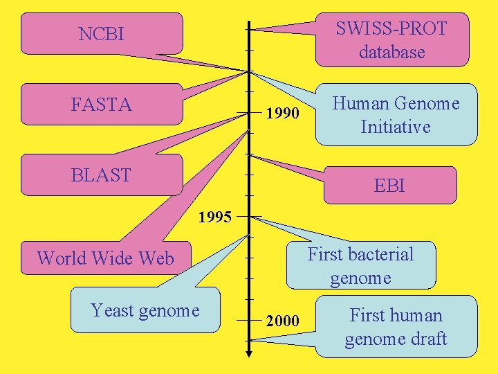 SWISS-PROT database NCBI FASTA 1990 BLAST Human Genome Initiative EBI 1995 First bacterial genome