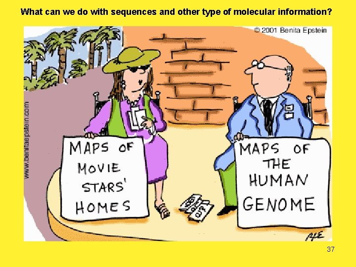 What can we do with sequences and other type of molecular information? 37 