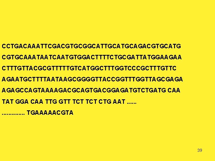 CCTGACAAATTCGACGTGCGGCATTGCAGACGTGCATG CGTGCAAATAATCAATGTGGACTTTTCTGCGATTATGGAAGAA CTTTGTTACGCGTTTTTGTCATGGCTTTGGTCCCGCTTTGTTC AGAATGCTTTTAATAAGCGGGGTTACCGGTTTGGTTAGCGAGA AGAGCCAGTAAAAGACGCAGTGACGGAGATGTCTGATG CAA TAT GGA CAA TTG GTT TCT CTG AAT.