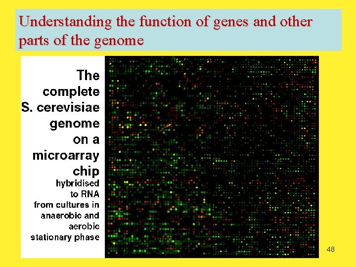 Understanding the function of genes and other parts of the genome 48 