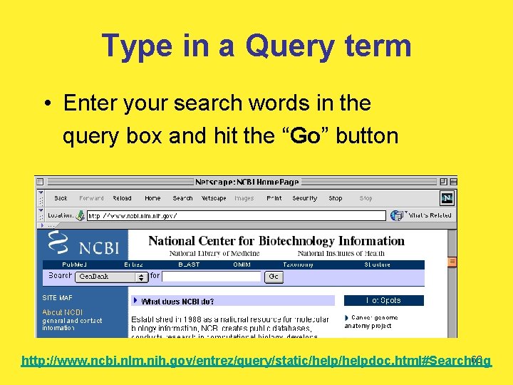 Type in a Query term • Enter your search words in the query box