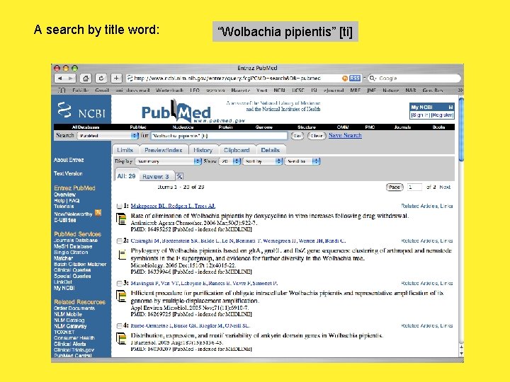 A search by title word: “Wolbachia pipientis” [ti] 