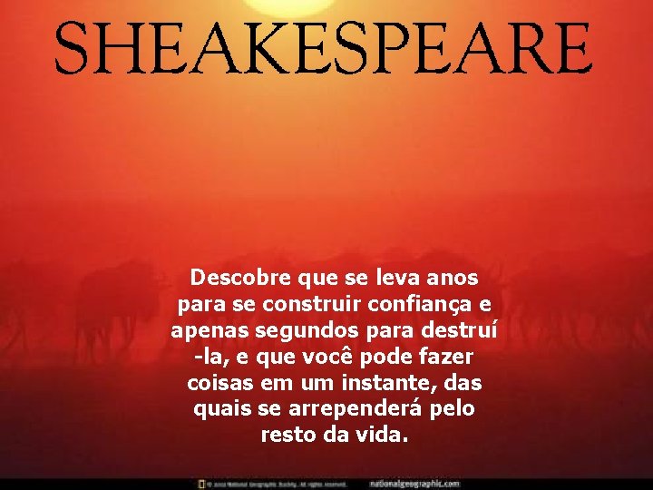 Descobre que se leva anos para se construir confiança e apenas segundos para destruí