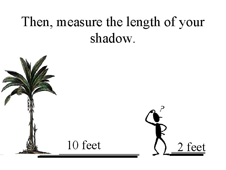 Then, measure the length of your shadow. 10 feet 2 feet 