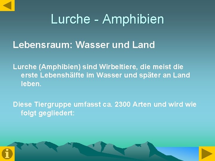 Lurche - Amphibien Lebensraum: Wasser und Land Lurche (Amphibien) sind Wirbeltiere, die meist die