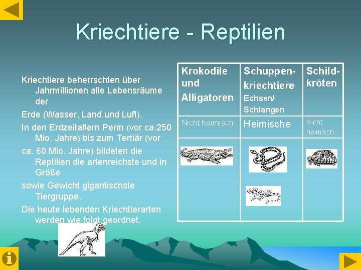 Kriechtiere - Reptilien Kriechtiere beherrschten über Jahrmillionen alle Lebensräume der Erde (Wasser, Land und