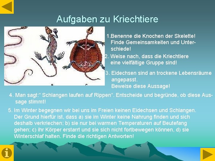 Aufgaben zu Kriechtiere 1. Benenne die Knochen der Skelette! Finde Gemeinsamkeiten und Unterschiede! 2.