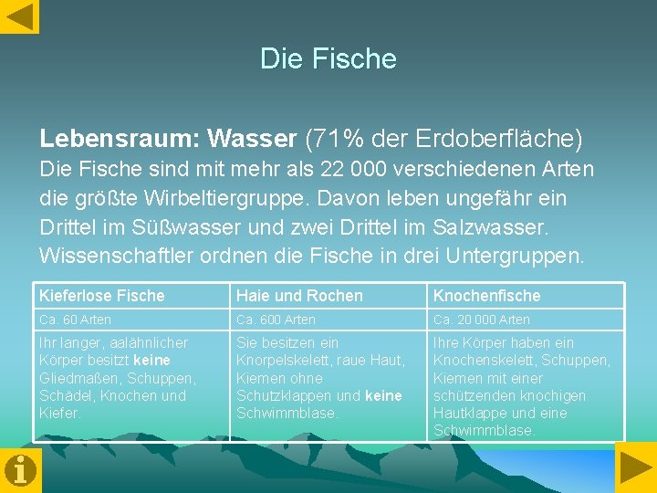 Die Fische Lebensraum: Wasser (71% der Erdoberfläche) Die Fische sind mit mehr als 22