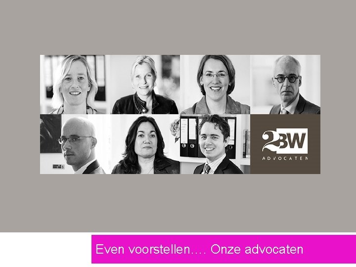 Even voorstellen…. Onze advocaten 