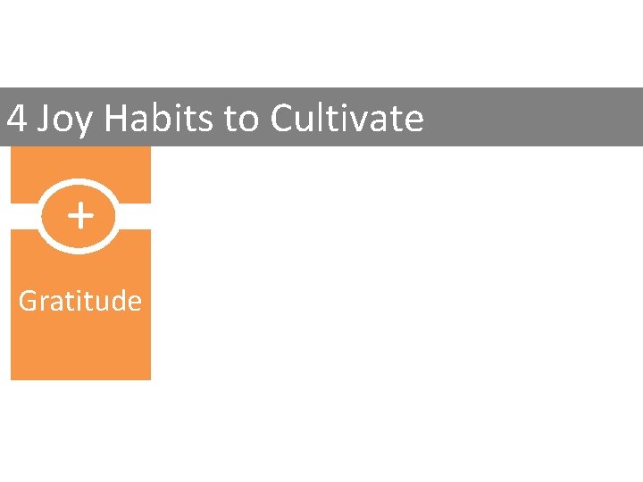 4 Joy Habits to Cultivate + Gratitude 