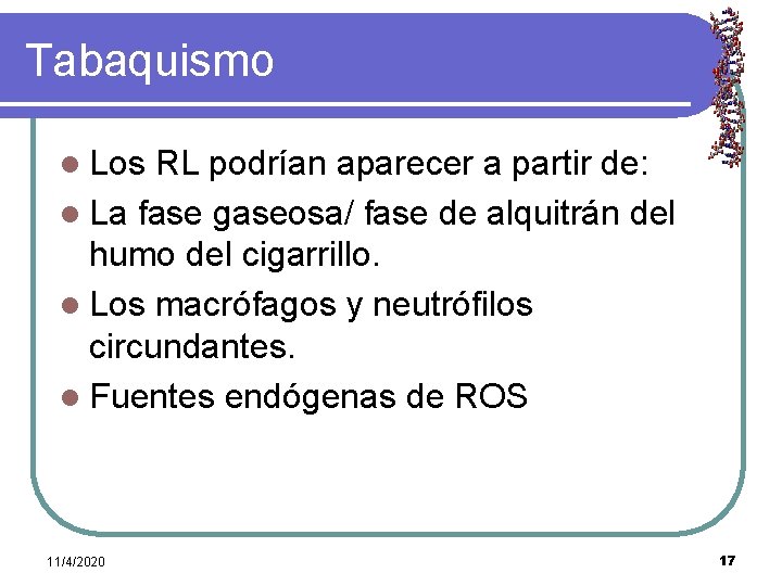 Tabaquismo l Los RL podrían aparecer a partir de: l La fase gaseosa/ fase