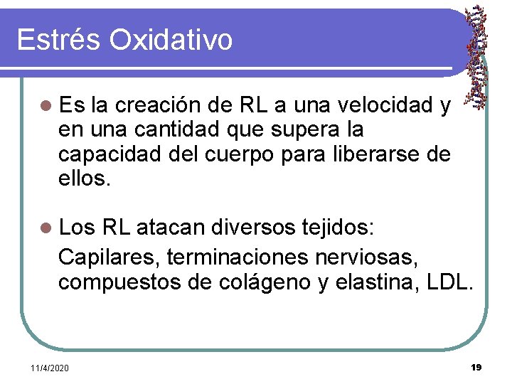 Estrés Oxidativo l Es la creación de RL a una velocidad y en una