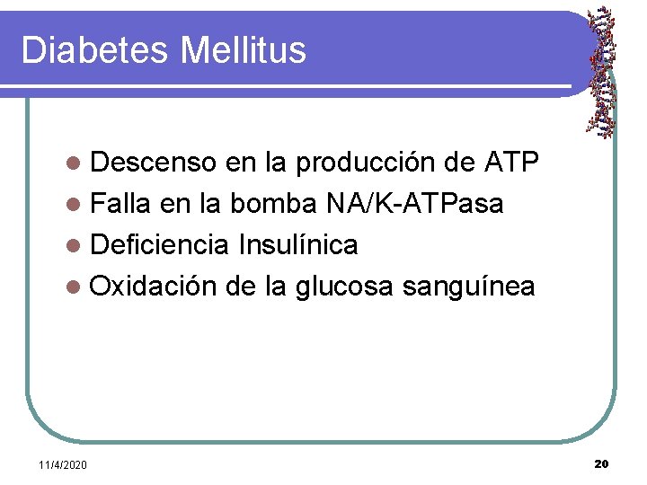 Diabetes Mellitus l Descenso en la producción de ATP l Falla en la bomba