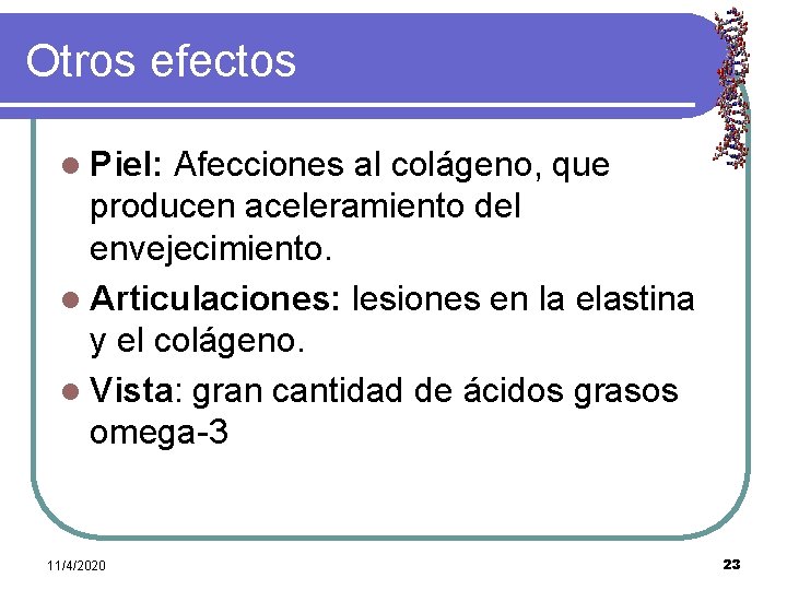 Otros efectos l Piel: Afecciones al colágeno, que producen aceleramiento del envejecimiento. l Articulaciones: