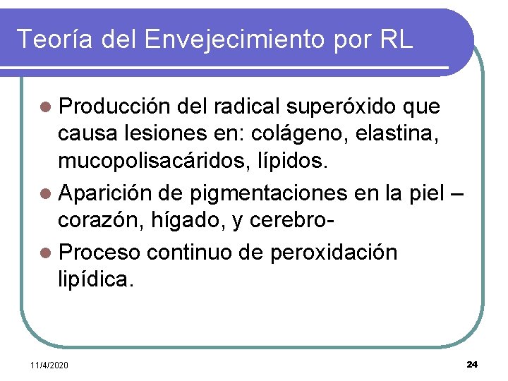 Teoría del Envejecimiento por RL l Producción del radical superóxido que causa lesiones en: