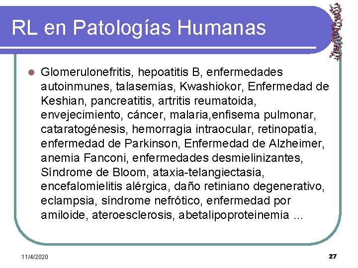 RL en Patologías Humanas l Glomerulonefritis, hepoatitis B, enfermedades autoinmunes, talasemias, Kwashiokor, Enfermedad de